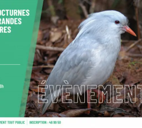 Nocturnes au Parc Provincial des Grandes-Fougères Nocturnes au Parc Provincial des Grandes-Fougères