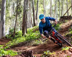 Compétition Méga randonnée course à vélo Forêt Nature