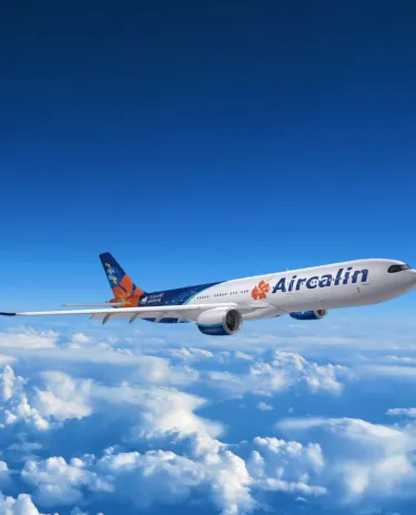 Montage avion en vol