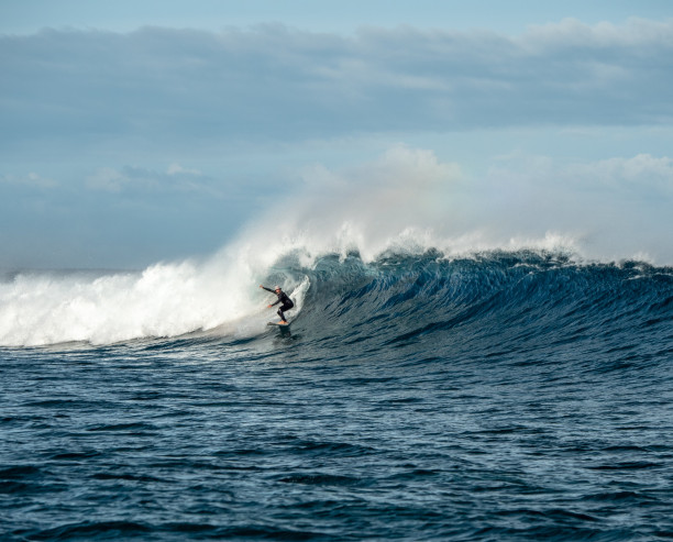 Surf Surf