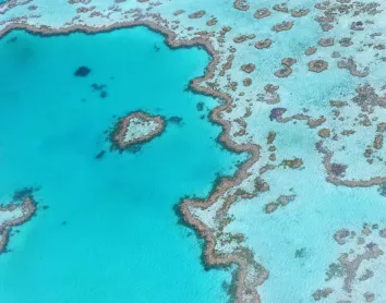 La grande barrière de corail La grande barrière de corail