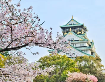 Château Osaka Cerisier Japon
